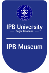 Museum IPB