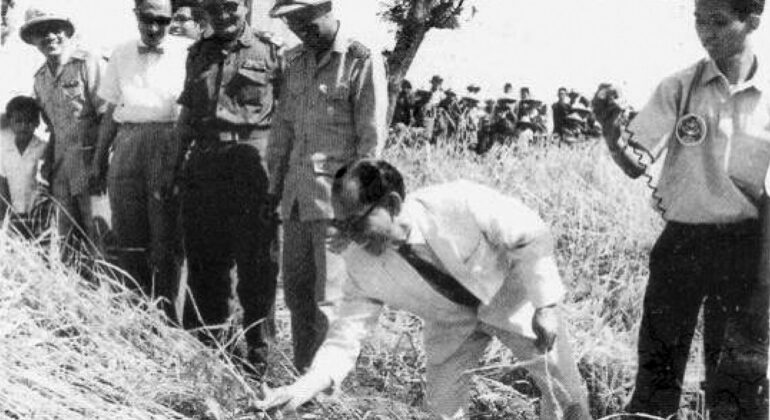 Penyuluhan pertanian