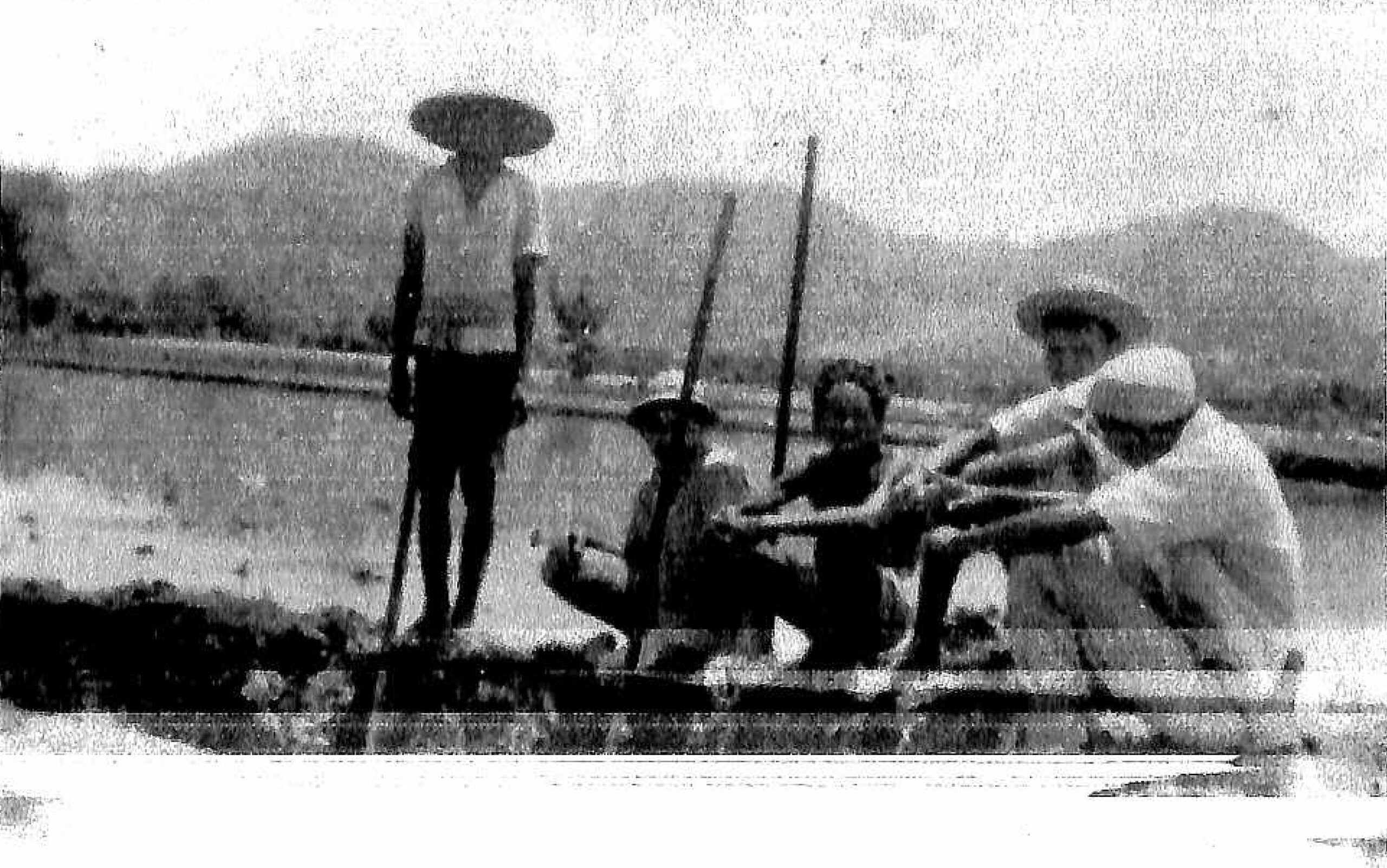 Penyuluhan pertanian