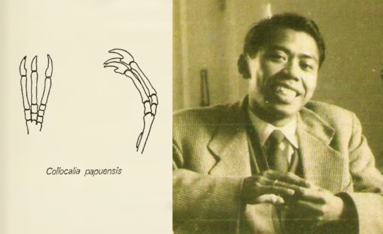 Soekarja Somadikarta