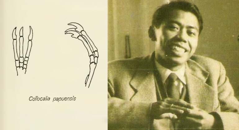 Soekarja Somadikarta