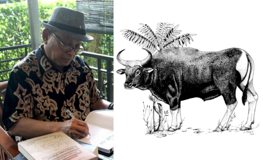 Alikodra Banteng Jawa