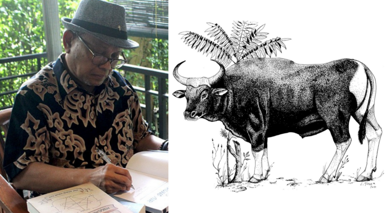 Alikodra Banteng Jawa