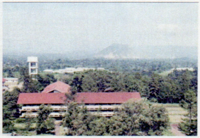 IPB Darmaga