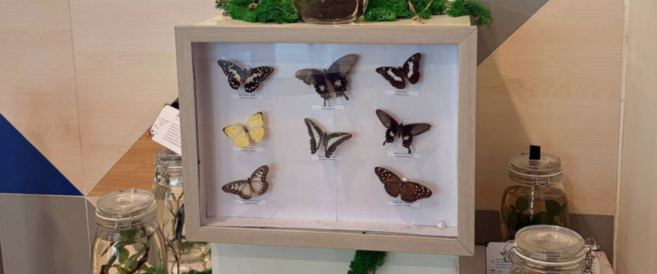 Biodiversity Chronicles - Area Pameran (5)
